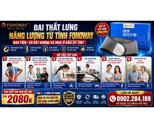 Gía Bán Đai Thắt Lưng Năng Lượng Từ Tính Fohoway Bao Tiền 